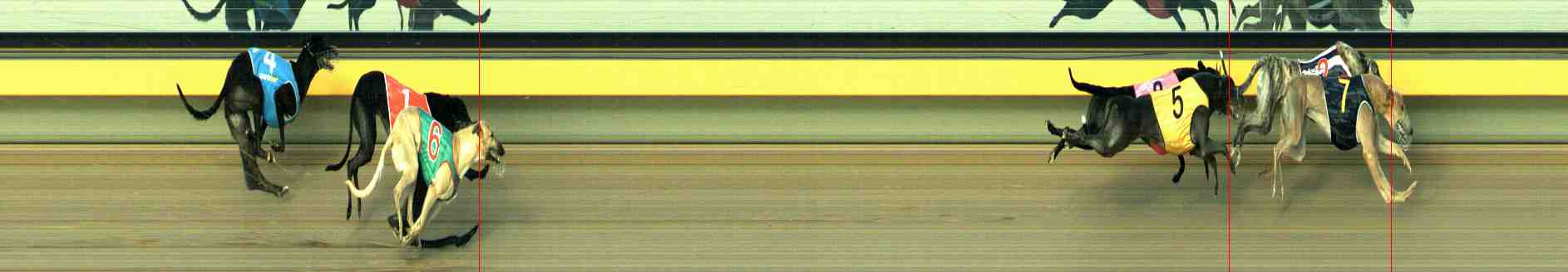 Photo finish for Horsham Race 11