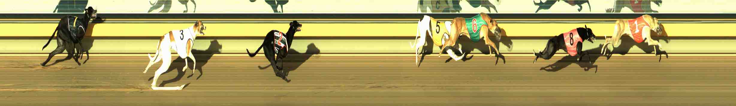 Photo finish for Horsham Race 12