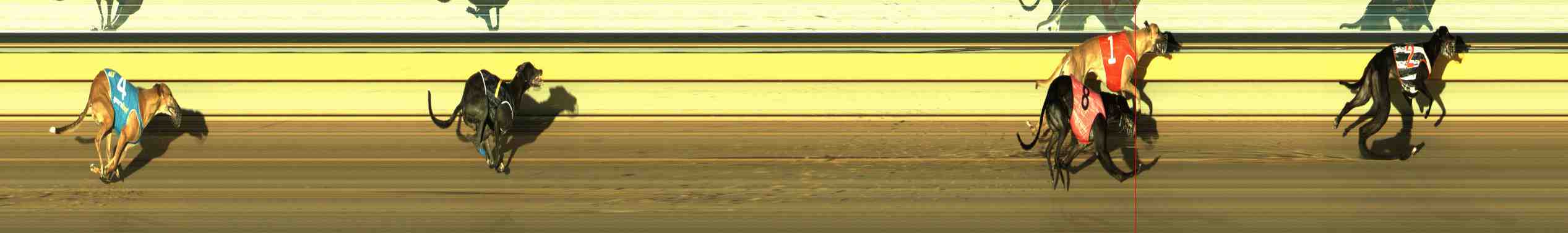 Photo finish for Horsham Race 13