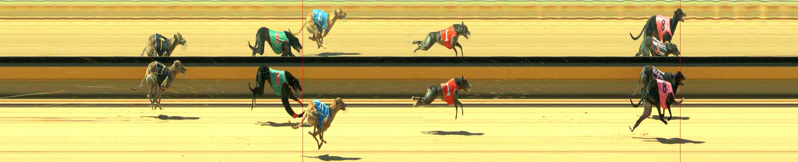 Photo finish for Horsham Race 2