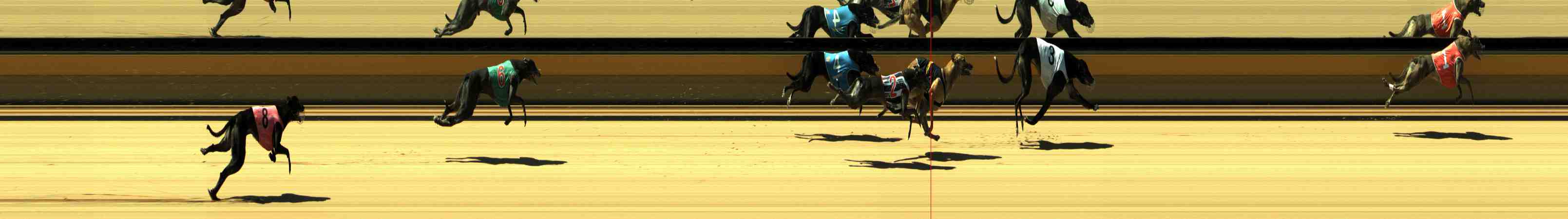 Photo finish for Horsham Race 3
