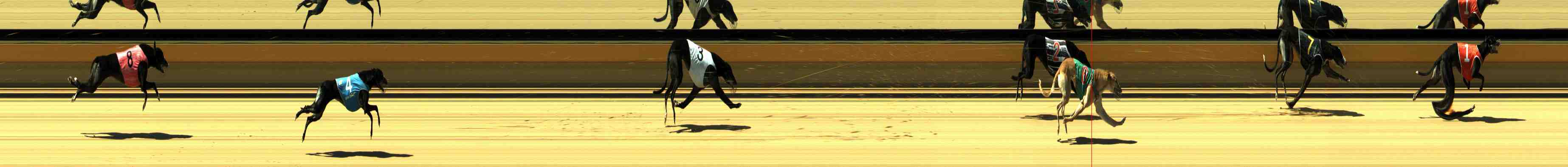 Photo finish for Horsham Race 5