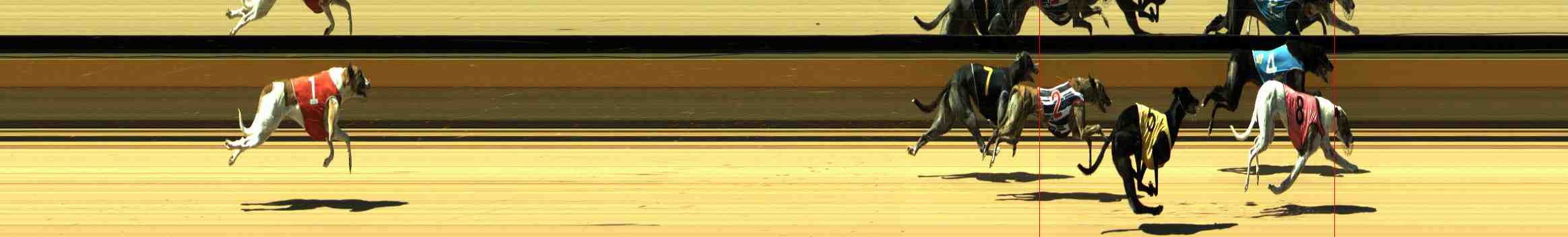 Photo finish for Horsham Race 6