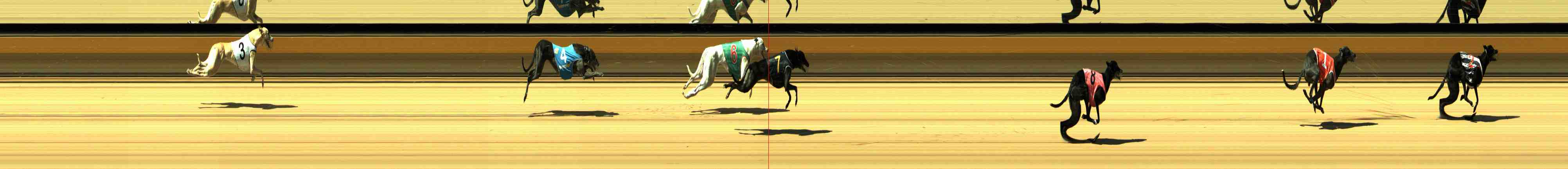 Photo finish for Horsham Race 7
