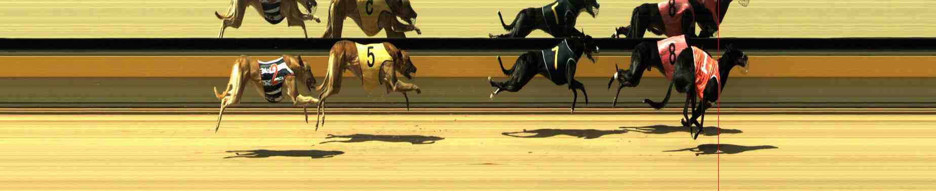 Photo finish for Horsham Race 8