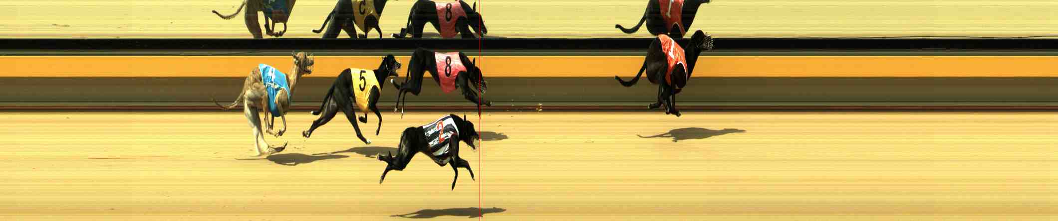 Photo finish for Horsham Race 9