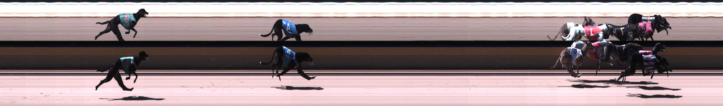 Photo finish for Horsham Race 1