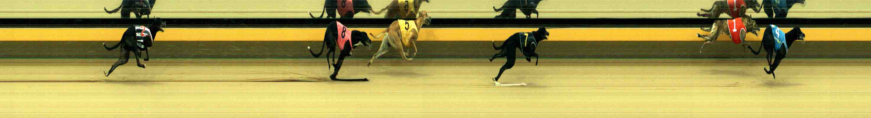 Photo finish for Horsham Race 1
