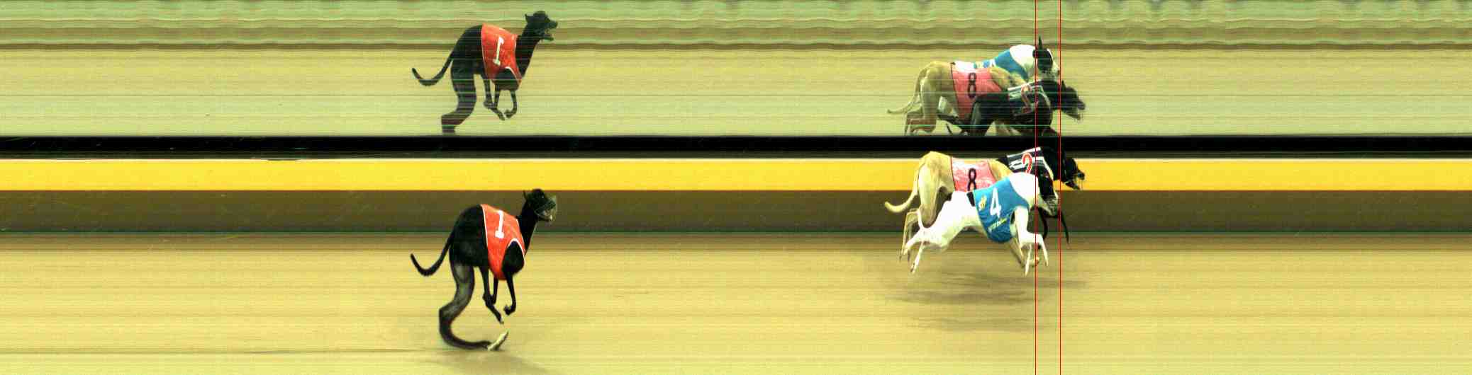 Photo finish for Horsham Race 2