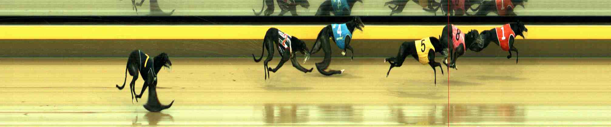 Photo finish for Horsham Race 3