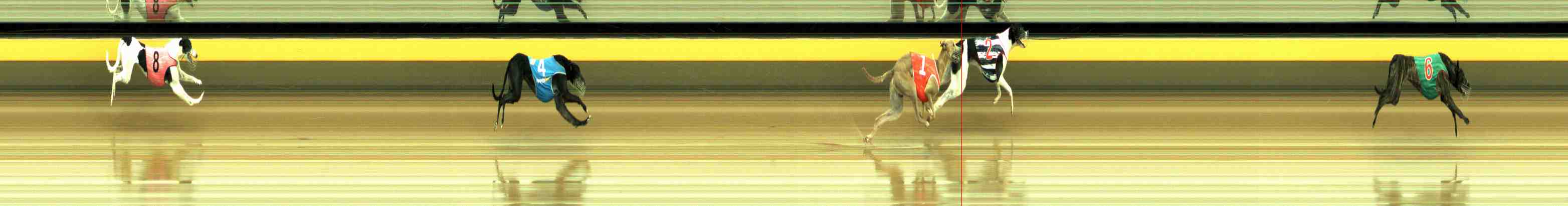 Photo finish for Horsham Race 4