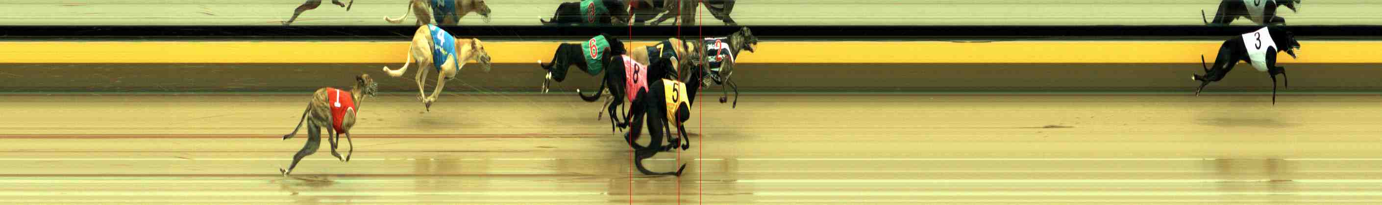 Photo finish for Horsham Race 5