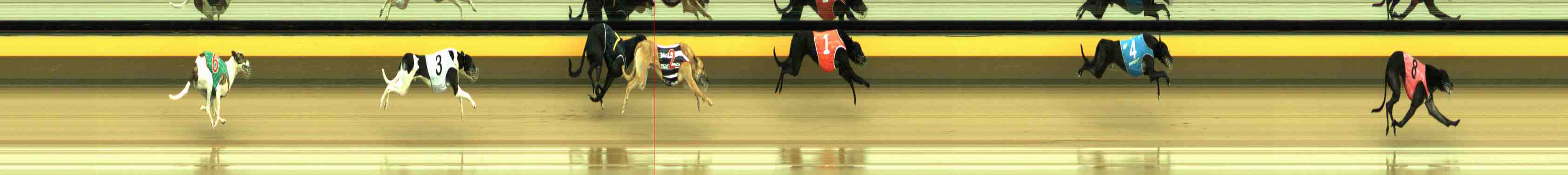 Photo finish for Horsham Race 6