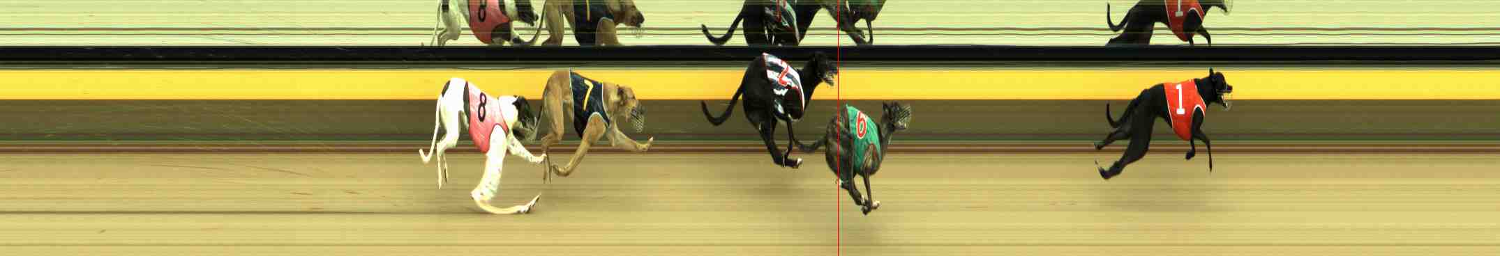 Photo finish for Horsham Race 7