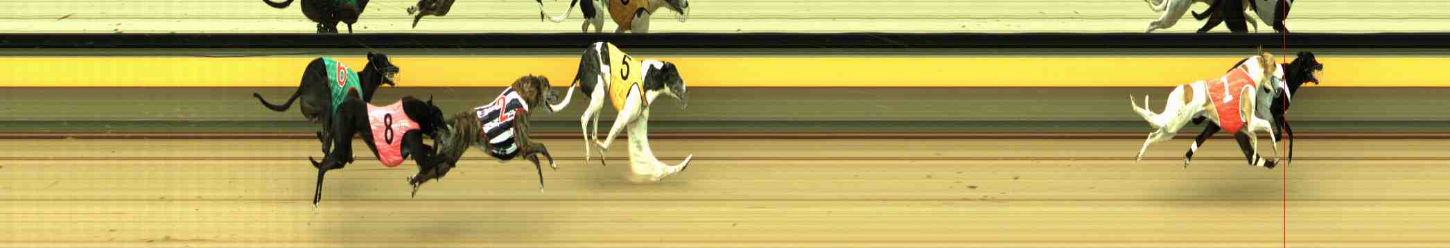 Photo finish for Horsham Race 8