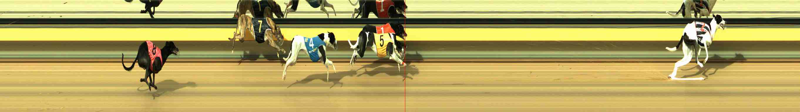 Photo finish for Horsham Race 9