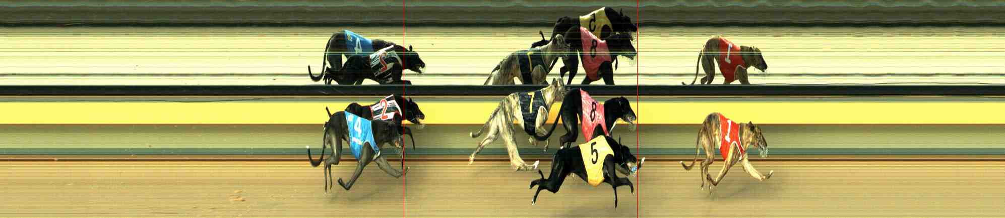 Photo finish for Horsham Race 10