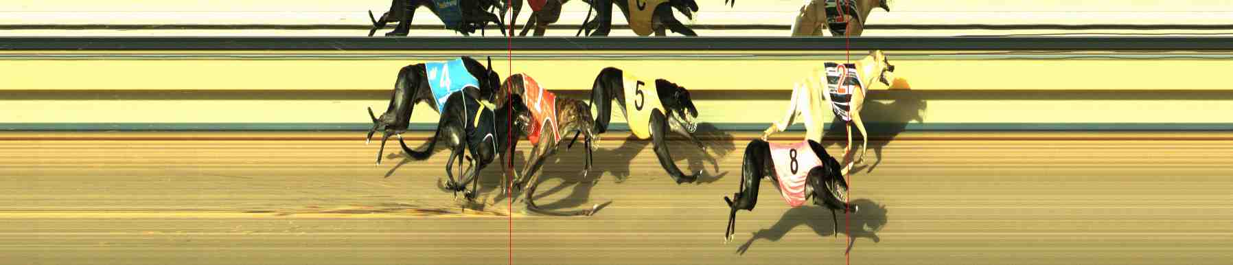 Photo finish for Horsham Race 11