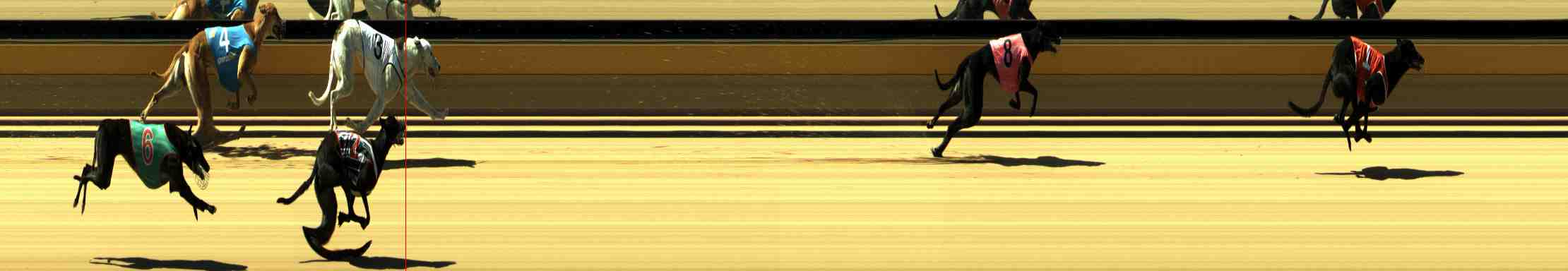 Photo finish for Horsham Race 1