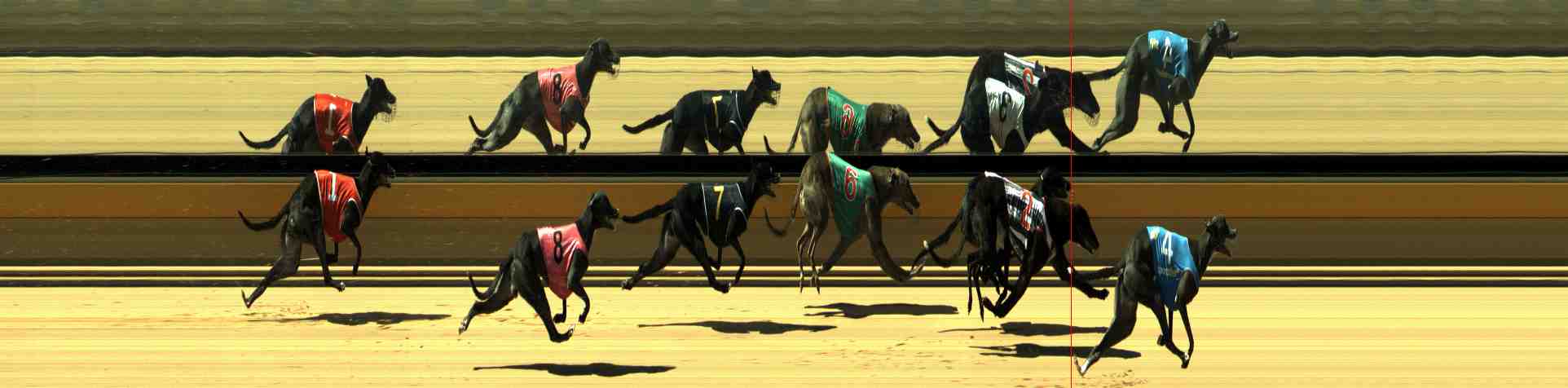 Photo finish for Horsham Race 2
