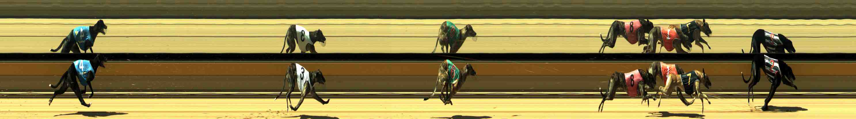 Photo finish for Horsham Race 3