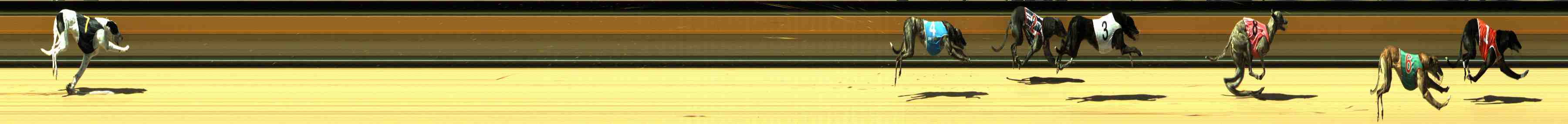 Photo finish for Horsham Race 4