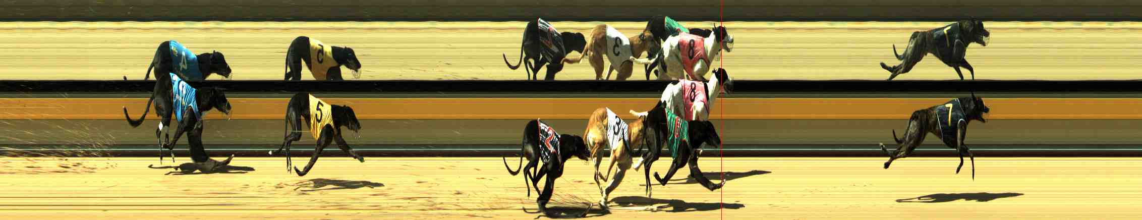 Photo finish for Horsham Race 5