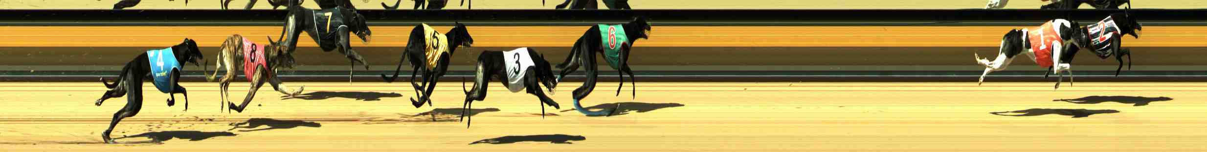 Photo finish for Horsham Race 6