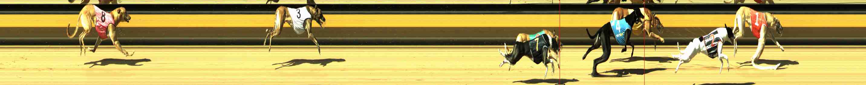 Photo finish for Horsham Race 7