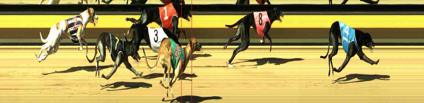 Photo finish for Horsham Race 8