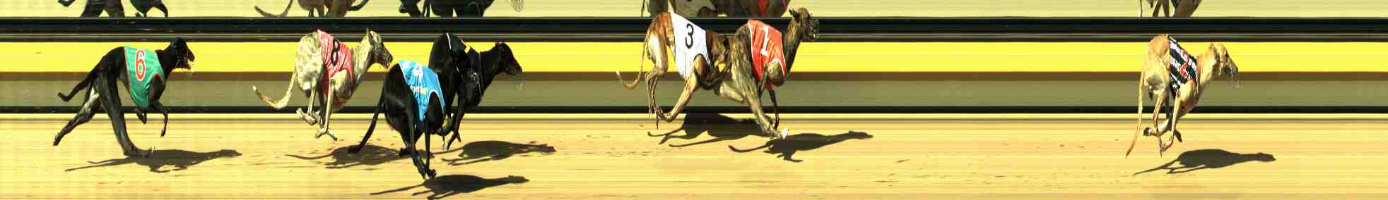Photo finish for Horsham Race 9