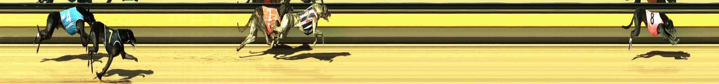 Photo finish for Horsham Race 10