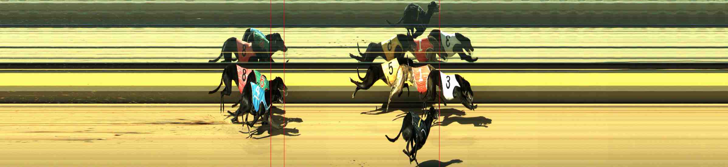 Photo finish for Horsham Race 11
