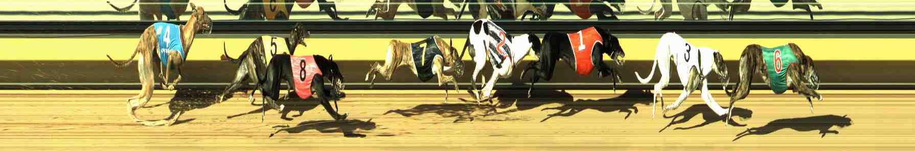 Photo finish for Horsham Race 12