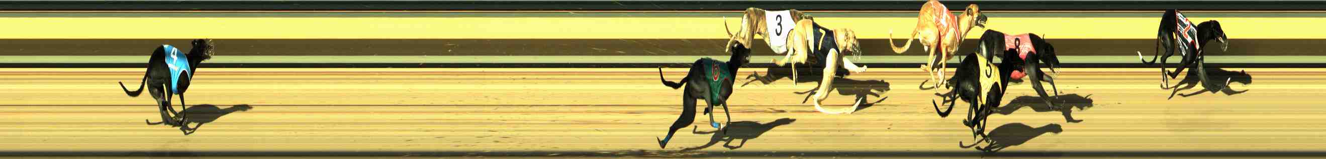 Photo finish for Horsham Race 13