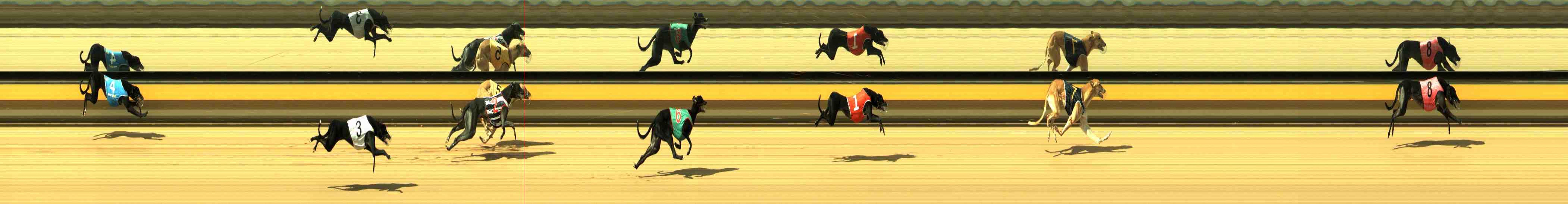 Photo finish for Horsham Race 1