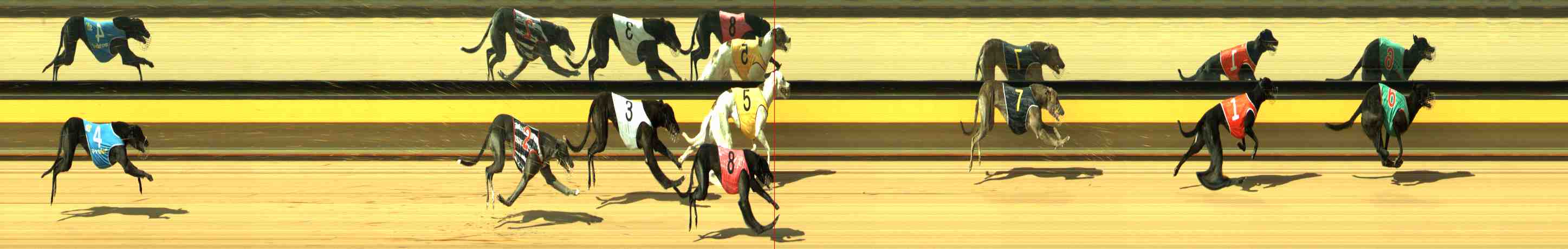 Photo finish for Horsham Race 2