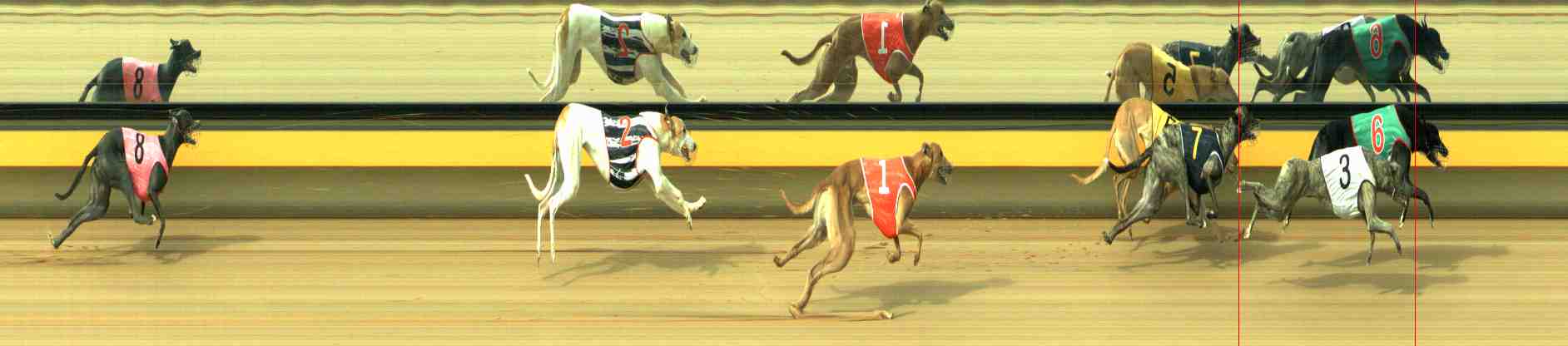 Photo finish for Horsham Race 3