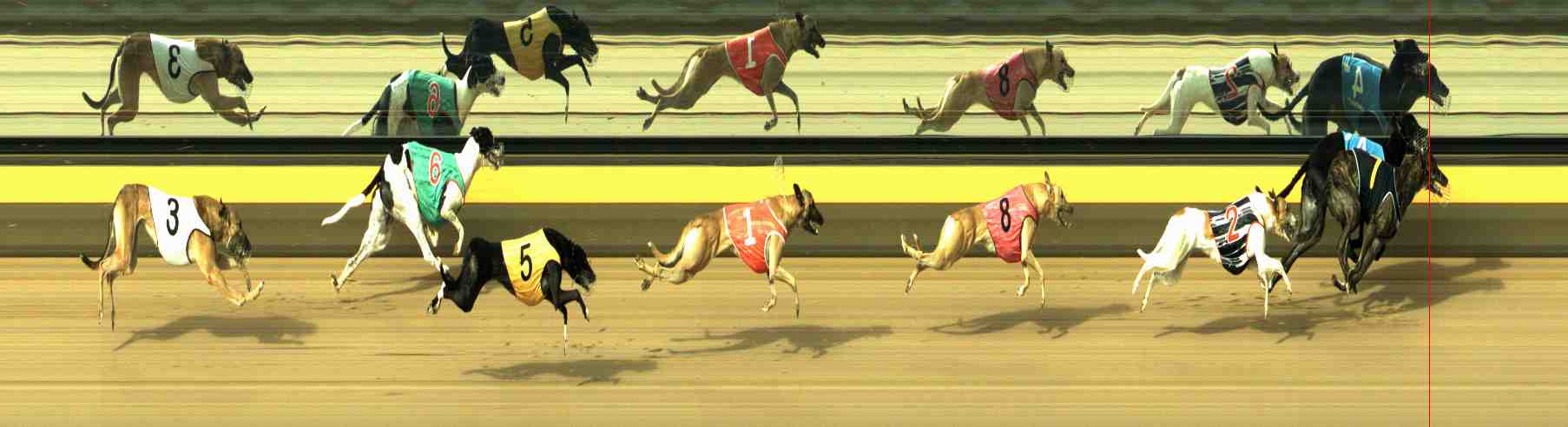 Photo finish for Horsham Race 4