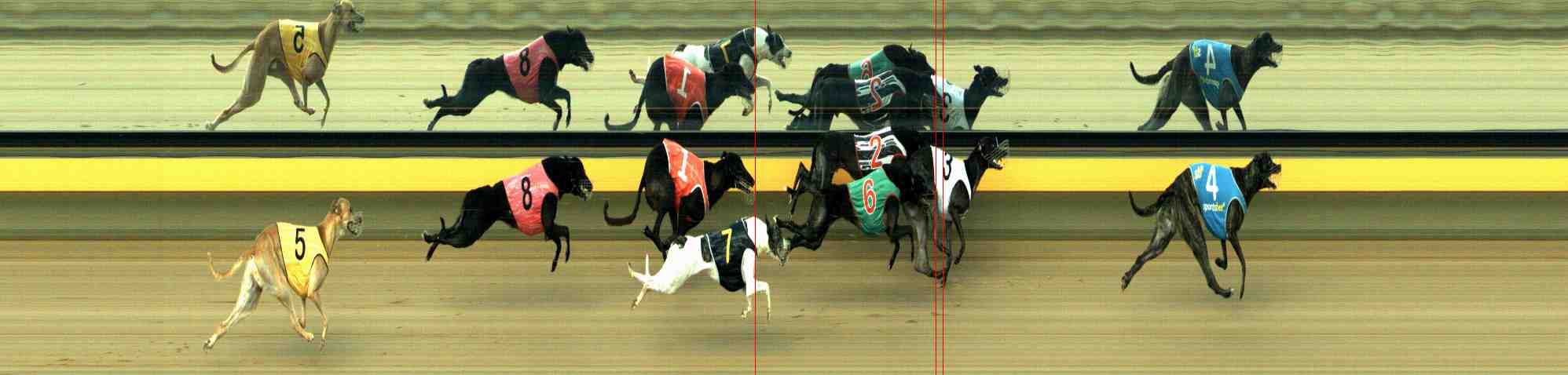 Photo finish for Horsham Race 5