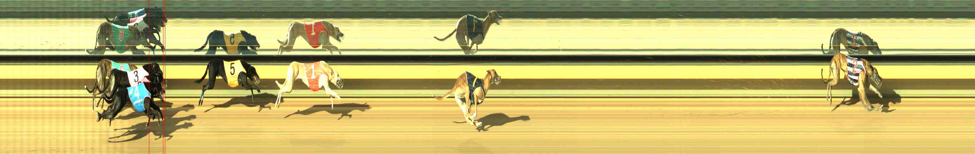 Photo finish for Horsham Race 6