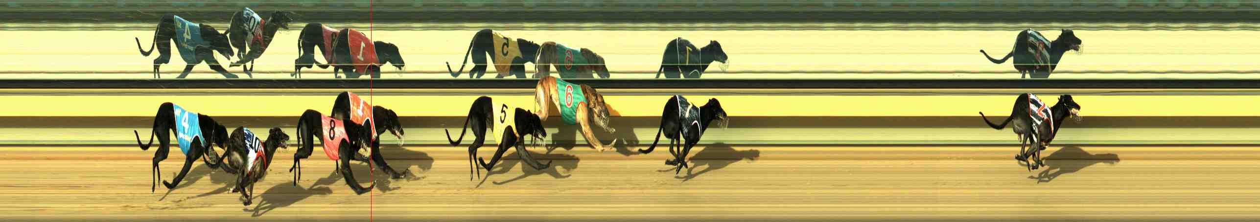 Photo finish for Horsham Race 7