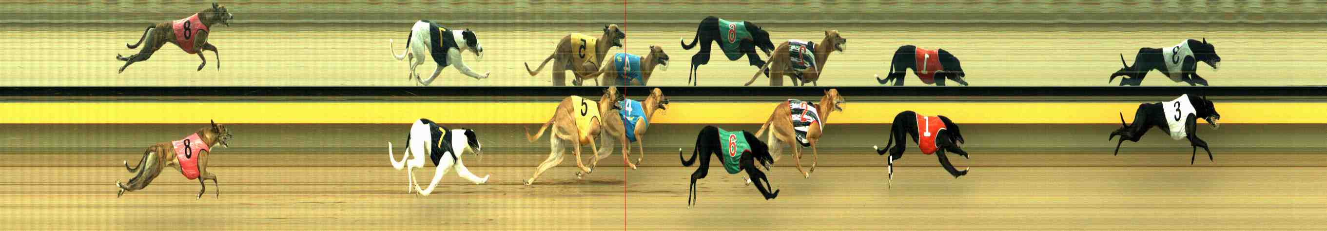 Photo finish for Horsham Race 8