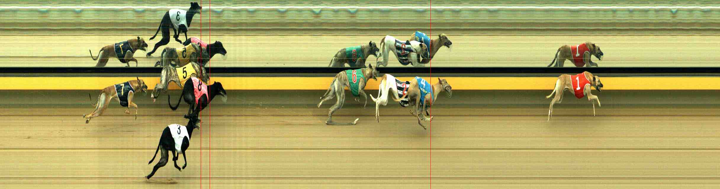 Photo finish for Horsham Race 9