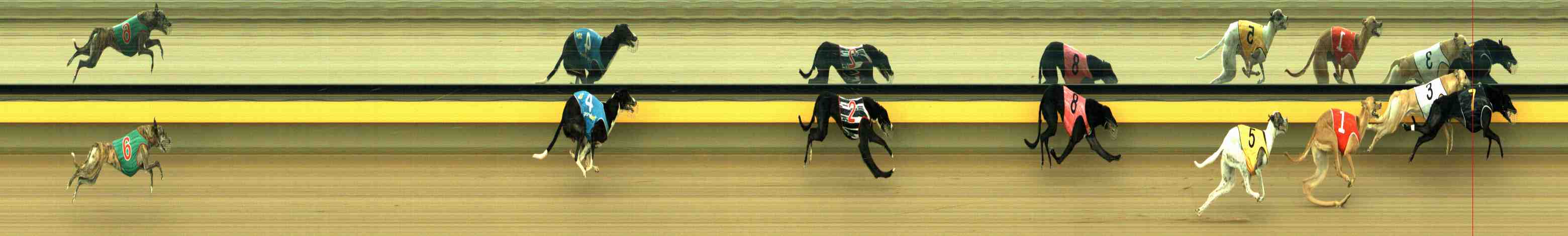 Photo finish for Horsham Race 10