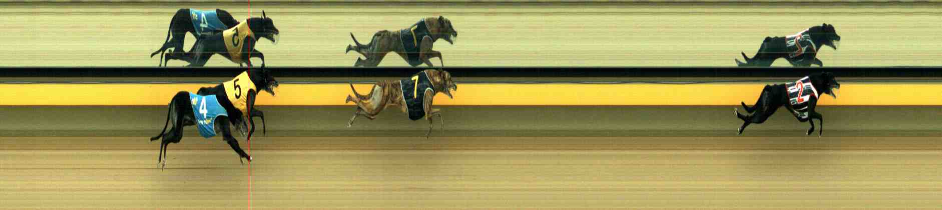 Photo finish for Horsham Race 11