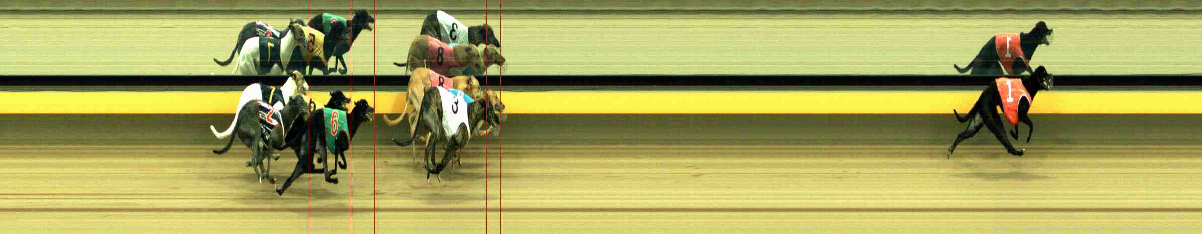 Photo finish for Horsham Race 12