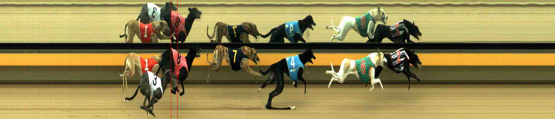 Photo finish for Horsham Race 1