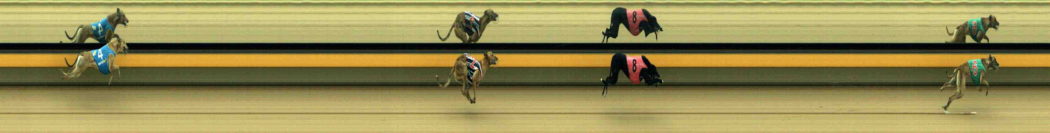 Photo finish for Horsham Race 2