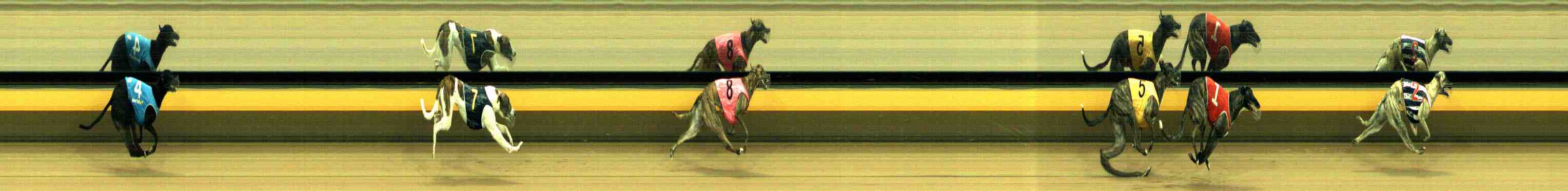 Photo finish for Horsham Race 3